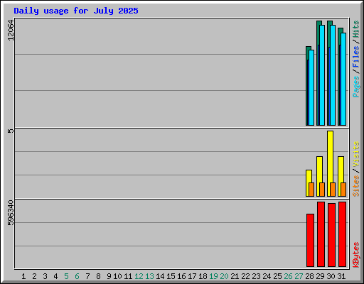 Daily usage for July 2025