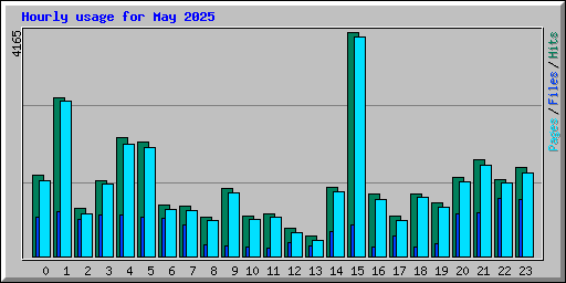 Hourly usage for May 2025