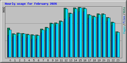 Hourly usage for February 2026